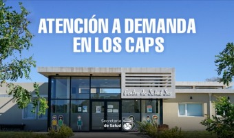 ATENCIN A DEMANDA EN LOS CAPS EN CLNICA MDICA Y PEDIATRA